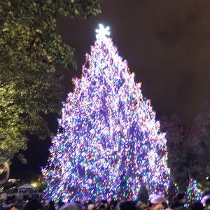 Meet your Posher, Adaora